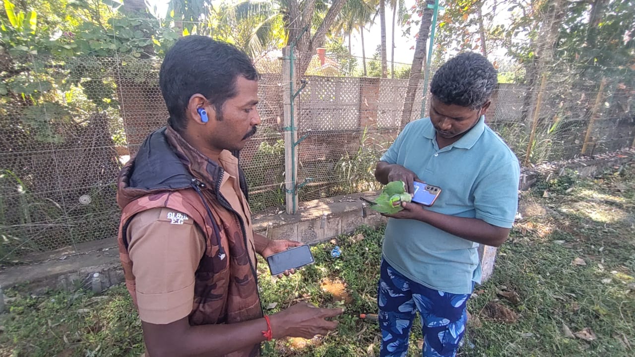 தடாகம் அருகே மின்வேலியில் மின்சாரம் தாக்கி கிளி உயிரிழப்பு- வனத்துறை விசாரணை...