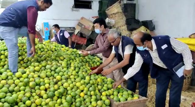 கோவையில் இரசாயனம் மூலம் பழுக்க வைக்கப்பட்ட 12 டன் மாம்பழம், 2 டன் சாத்துக்குடி அழிக்கப்பட்டது