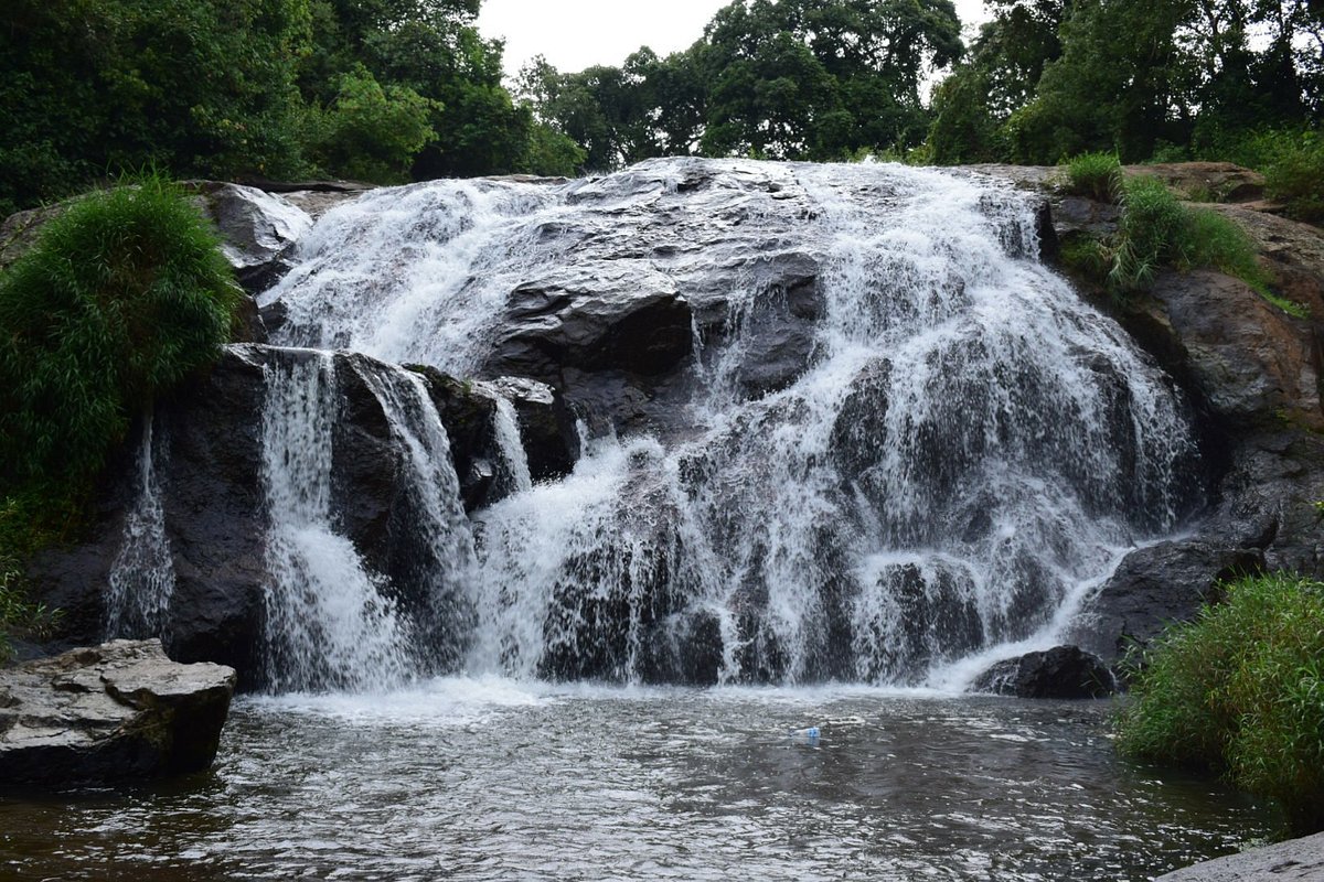 கோத்தகிரியில் நீர்வீழ்ச்சியை காண குவியும் சுற்றுலா பயணிகள்