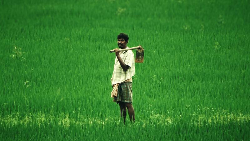 தரிசு நிலங்களை விளை நிலங்களாக மாற்ற வேண்டுமா? கோவை விவசாயிகளுக்கு அழைப்பு