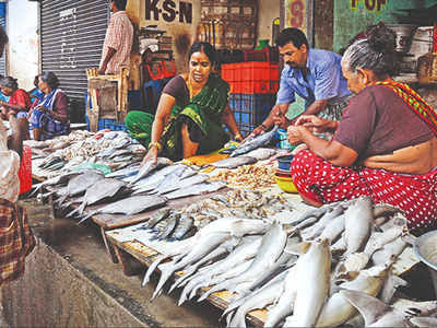 கோவையில் இன்றைய மீன் நிலவரம்