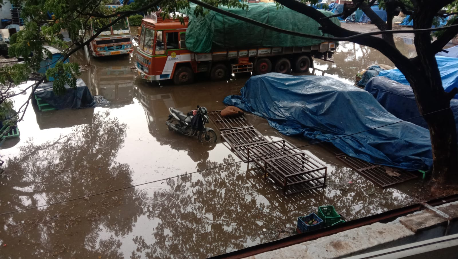 கோவை எம்.ஜி.ஆர் மார்க்கெட்டில் தேங்கிய மழை நீரால் அழுகிய காய்கறிகள்