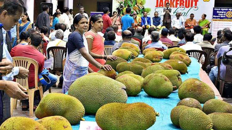 காவேரி கூக்குரல் இயக்கம் சார்பில் பண்ருட்டியில் மாபெரும் பலா திருவிழா