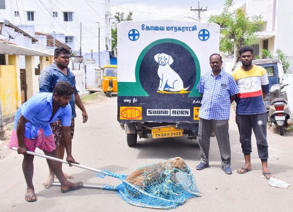 ஆதரவற்ற தெரு நாய்களுக்கு கருத்தடை அறுவை மற்றும் தடுப்பூசி செலுத்தும் பணிகள் நடைபெற்று வருகிறது..!