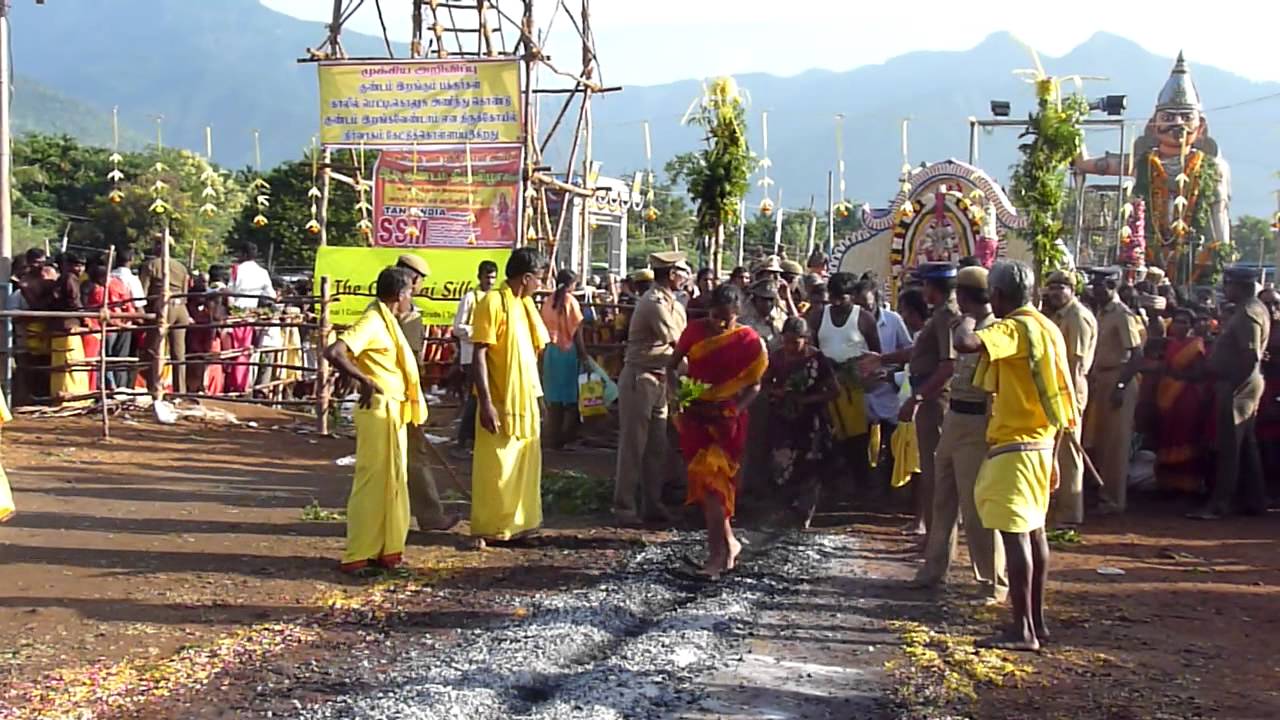 மேட்டுப்பாளையம் வனபத்திரகாளியம்மன் கோவிலுக்கு சிறப்பு பேருந்துகள்