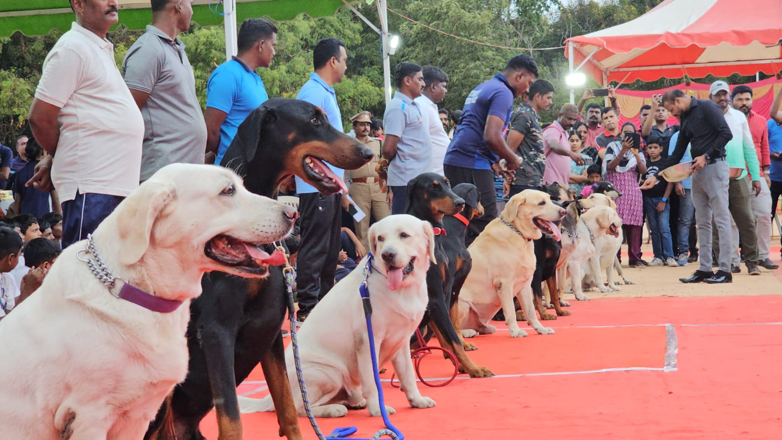 கோவையில் காவல்துறை-பொதுமக்கள்  நாய்களுக்கான போட்டிகள்