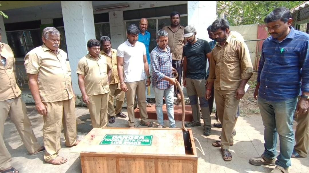 வஉசி உயிரியல் பூங்காவில் உள்ள விலங்குகள் இடமாற்றம் செய்யப்பட்டன...