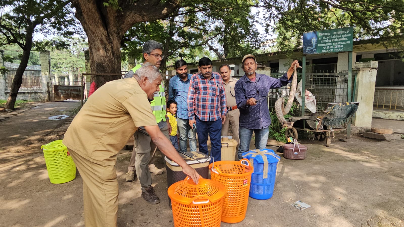 வஉசி பூங்காவில் இருந்த மேலும் சில பாம்புகள் பிடிக்கப்பட்டு சிறுவாணிக்கு கொண்டு செல்லப்பட்டது…