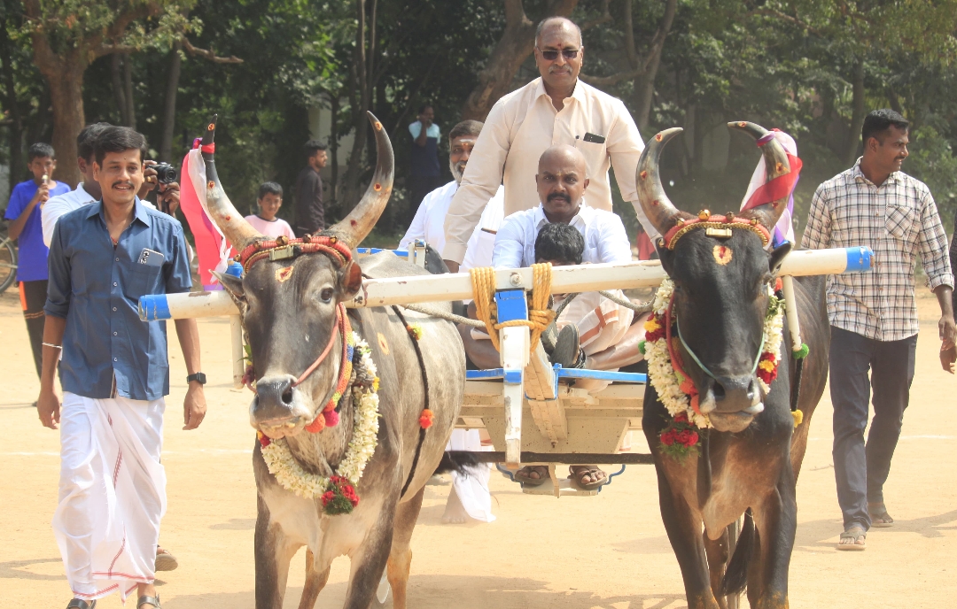 கோவையில் மாட்டு வண்டி ஓட்டிய போலீஸ் கமிஷனர்!