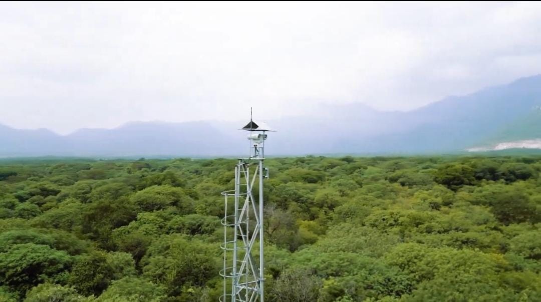 கோவையில் காட்டு யானைகள் உயிரிழப்பை தடுக்க AI கேமராக்கள்- அமைச்சர் துவக்கி வைப்பு...