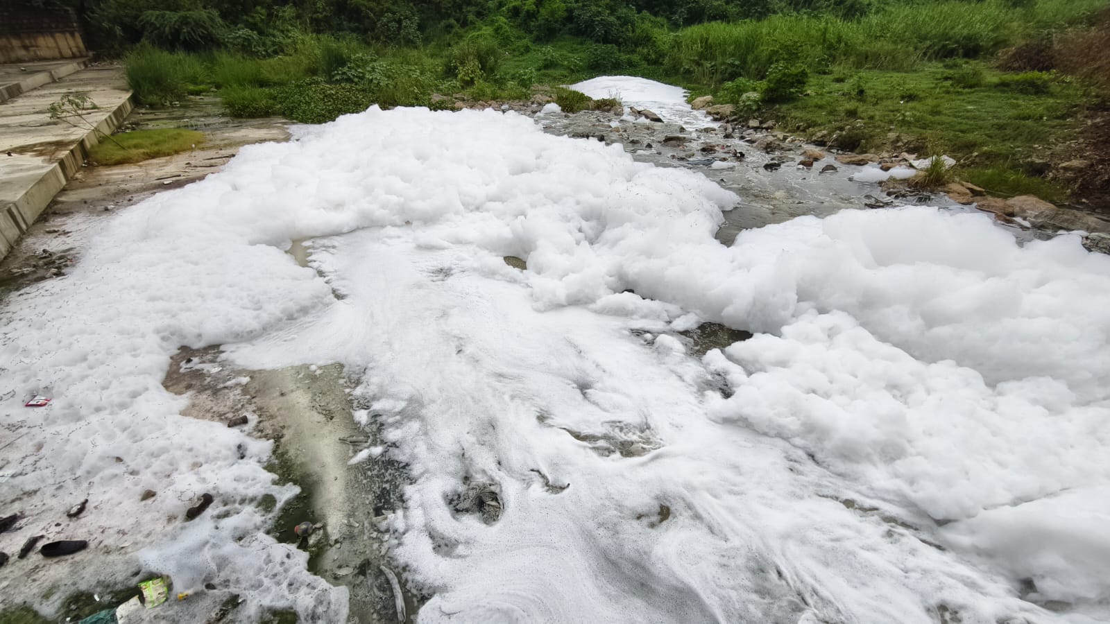 கோவையில் நொய்யல் ஆற்றில் கலந்த சாயப்பட்டறை கழிவுகள்...