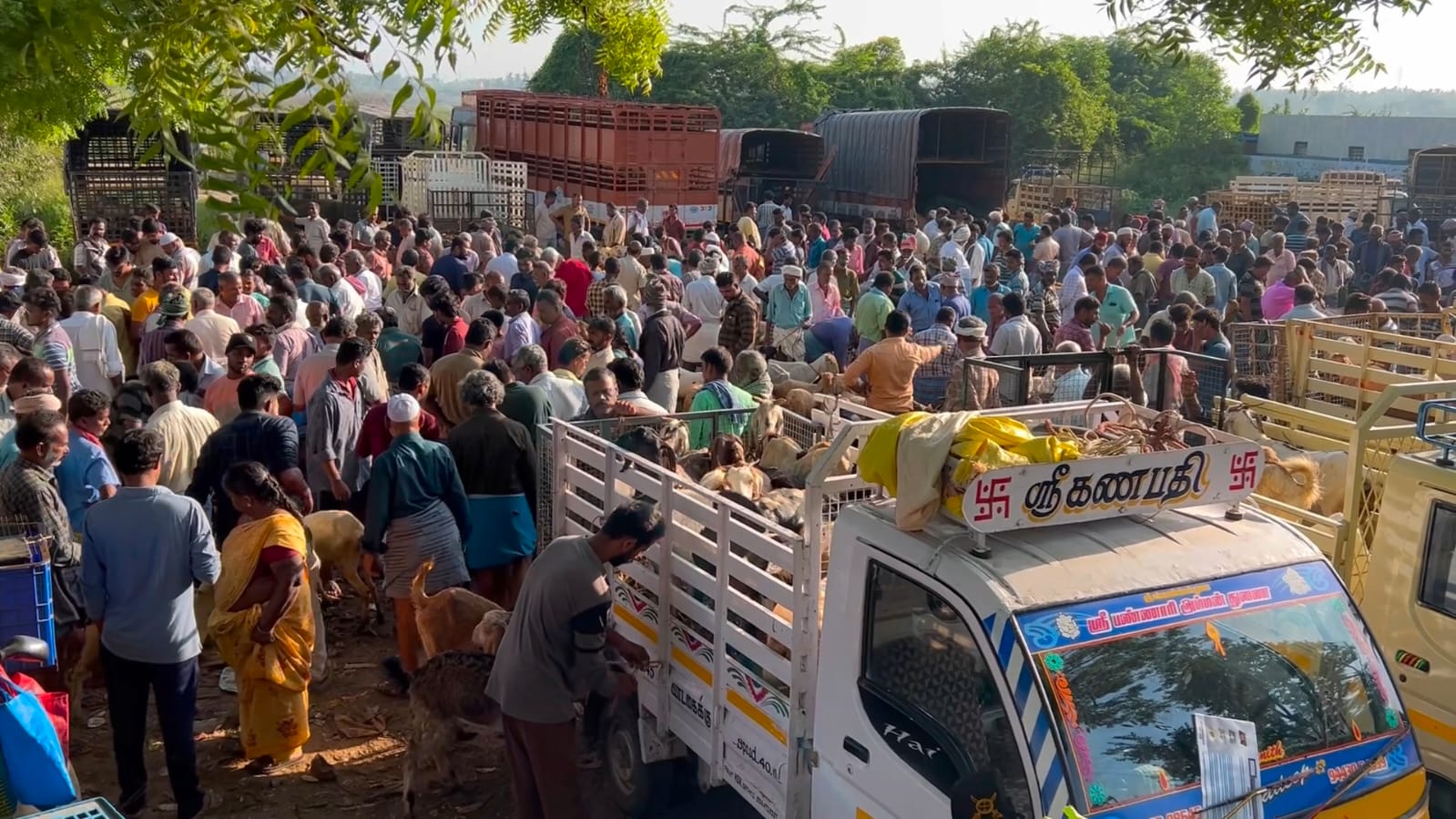 பக்ரீத்  பண்டிகையையொட்டி களைகட்டிய அன்னூர் ஆட்டுச் சந்தை...