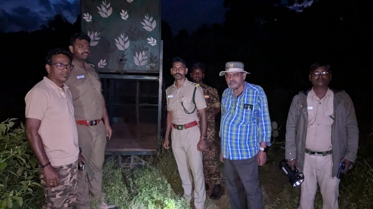 கோவையில் சிறுத்தையை பிடிக்க கூண்டு வைத்த வனத்துறை...