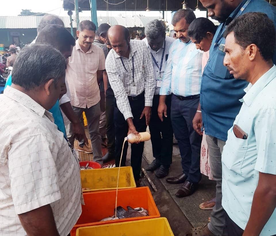 உக்கடம் மீன் மார்க்கெட்டில் இத்தனை கெட்டுப்போன மீன்களா?- அதிகாரிகள் நடவடிக்கை...